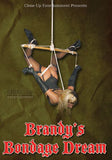 BRANDY'S BONDAGE DREAMS