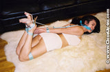 HOGTIE HEAVEN